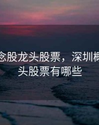 深圳概念股龙头股票，深圳概念股龙头股票有哪些