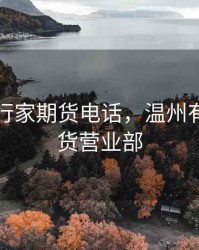 温州小行家期货电话，温州有哪些期货营业部