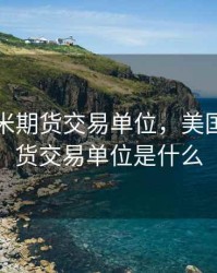 美国玉米期货交易单位，美国玉米期货交易单位是什么