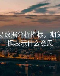 期货交易数据分析指标，期货交易数据表示什么意思