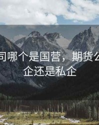 期货公司哪个是国营，期货公司选国企还是私企