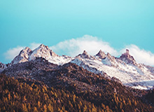 国际黄铜期货价格，国际黄铜期货价格行情