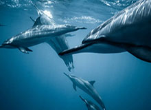 怎么开期货客户，怎样开发期货客户