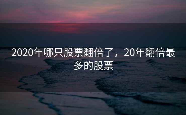 2020年哪只股票翻倍了，20年翻倍最多的股票