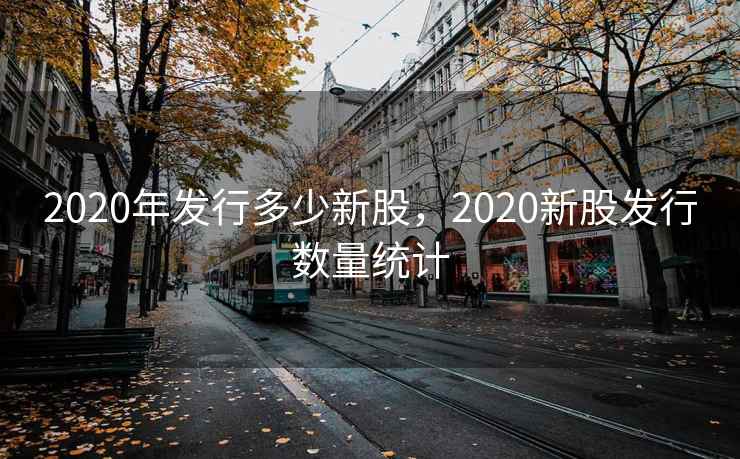 2020年发行多少新股，2020新股发行数量统计