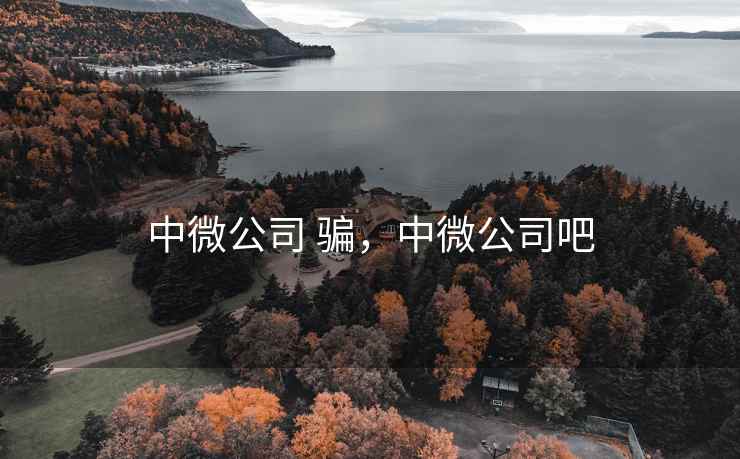 中微公司 骗，中微公司吧