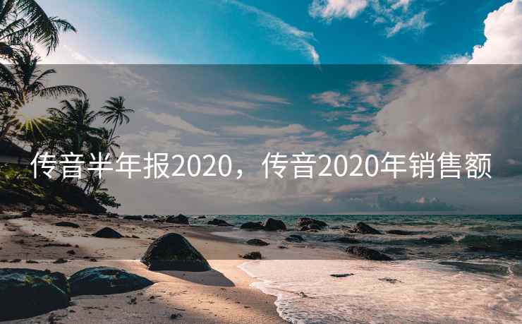 传音半年报2020，传音2020年销售额