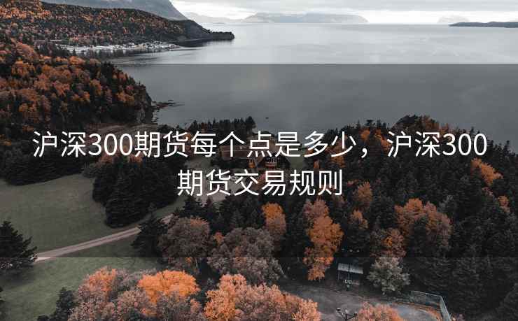 沪深300期货每个点是多少，沪深300期货交易规则