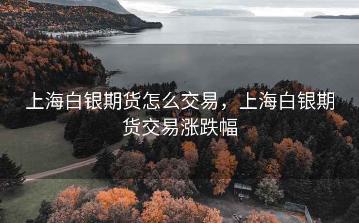 上海白银期货怎么交易，上海白银期货交易涨跌幅