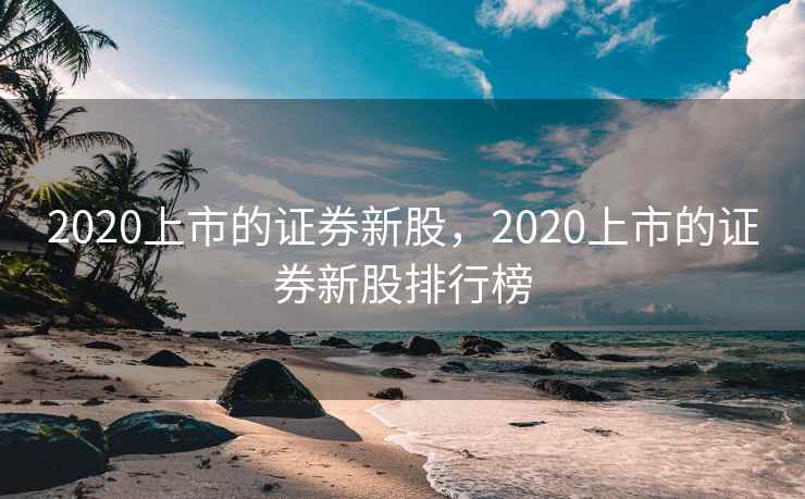 2020上市的证券新股，2020上市的证券新股排行榜
