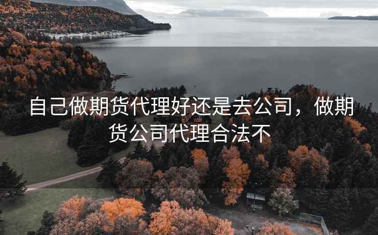 自己做期货代理好还是去公司,做期货公司代理合法不 自己做期货代理好还是去公司,做期货公司代理合法不