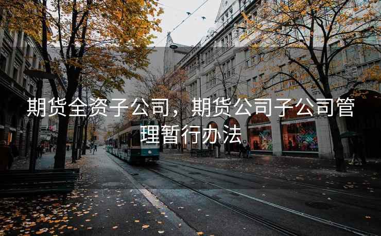 期货全资子公司，期货公司子公司管理暂行办法