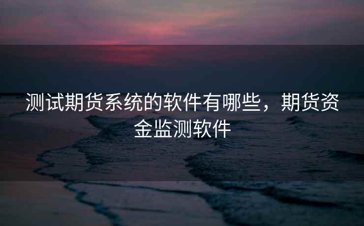 测试期货系统的软件有哪些，期货资金监测软件