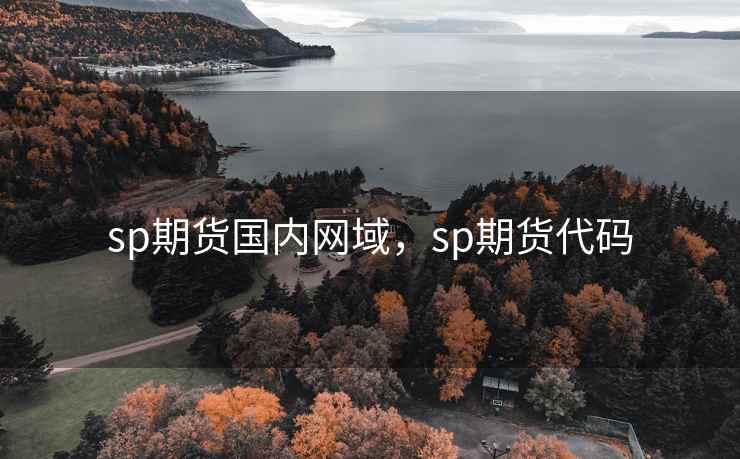 sp期货国内网域，sp期货代码