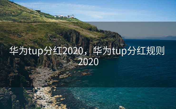 华为tup分红2020，华为tup分红规则 2020