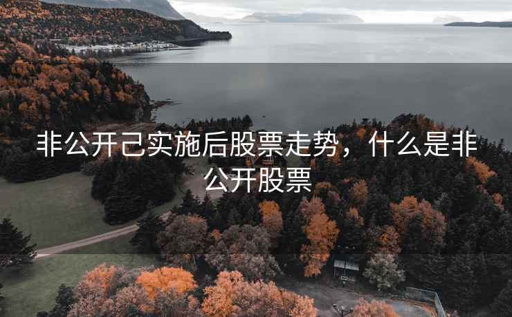 非公开己实施后股票走势，什么是非公开股票