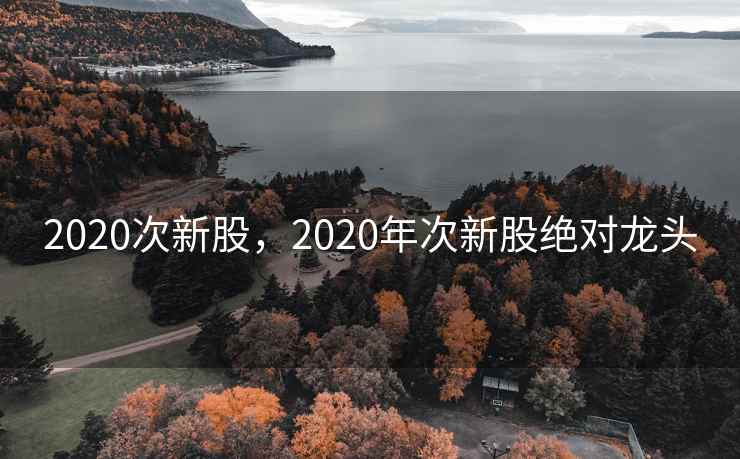2020次新股，2020年次新股绝对龙头