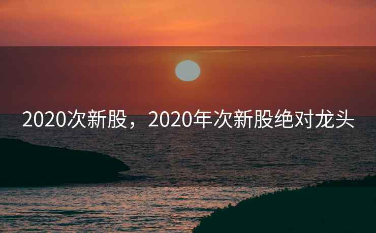 2020次新股，2020年次新股绝对龙头