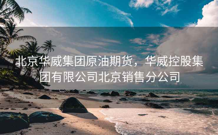北京华威集团原油期货，华威控股集团有限公司北京销售分公司