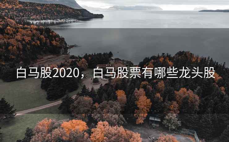 白马股2020，白马股票有哪些龙头股