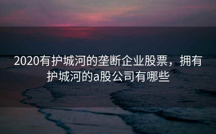 2020有护城河的垄断企业股票，拥有护城河的a股公司有哪些